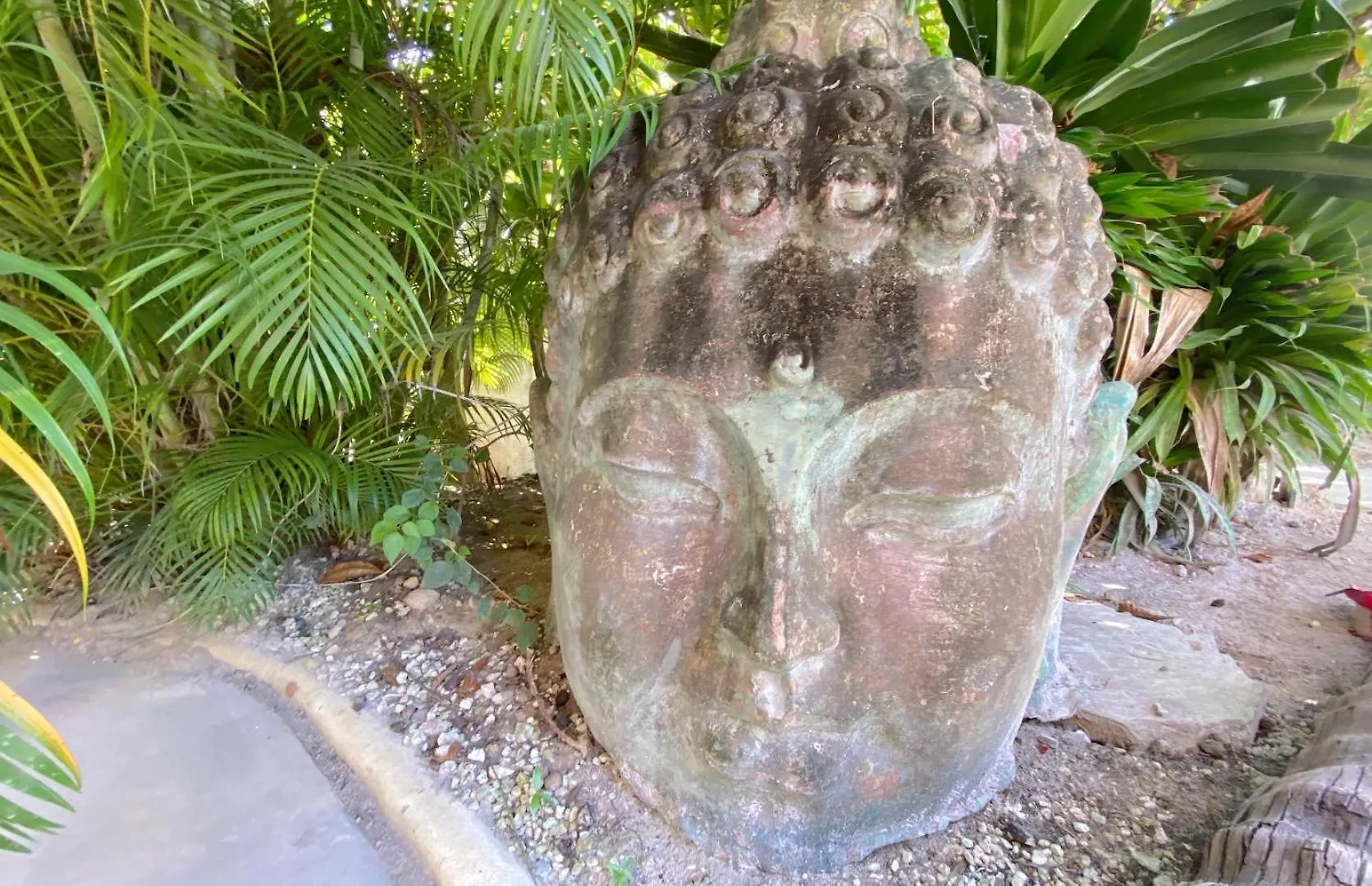 ***** Hotel Serenity Villas And Suites - Playa Los Corales Punta Cana Dominikanische Republik
